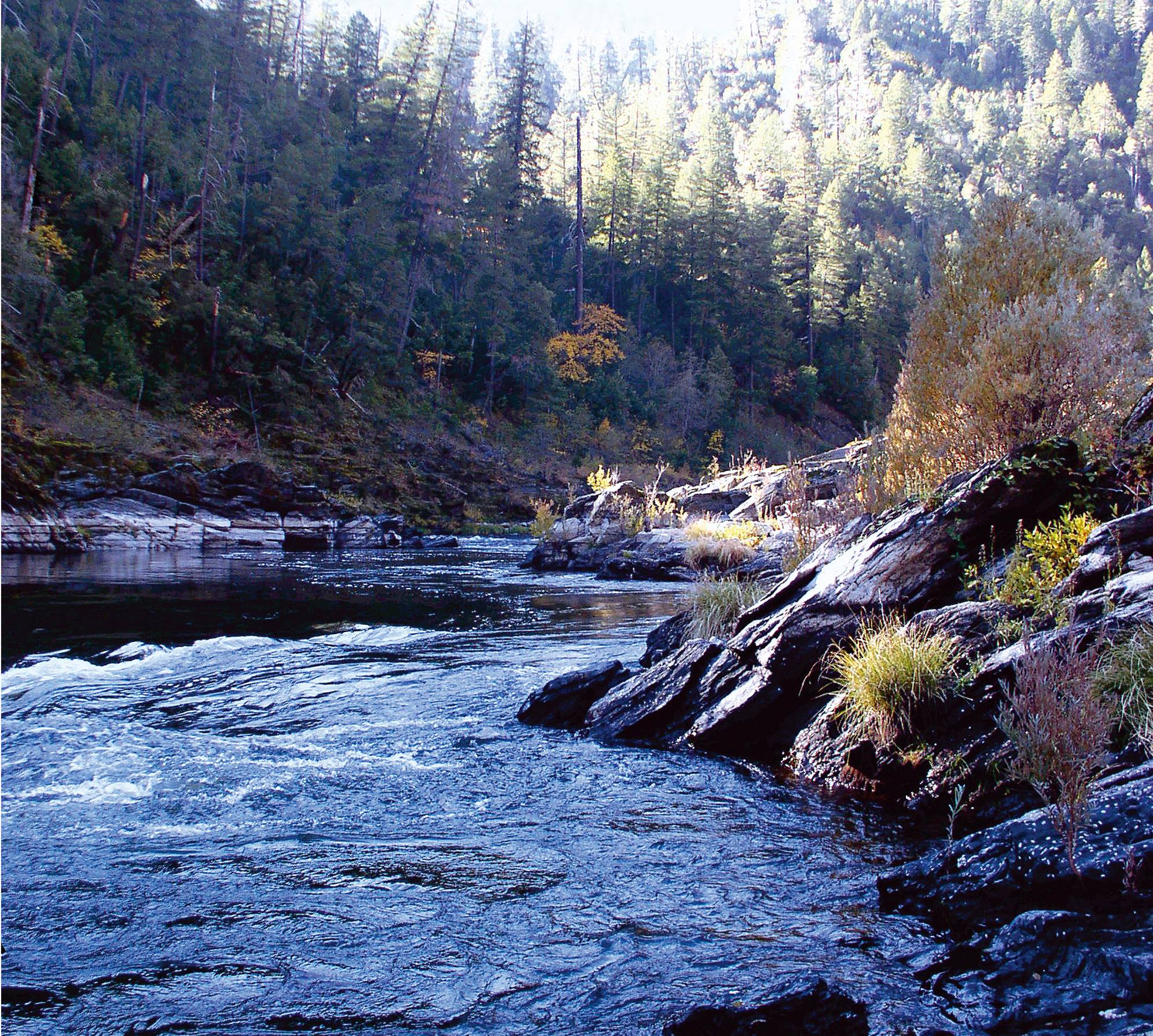 Close-up View of the Klamath River Flowing Past Rocky Banks and Forested Slopes in Siskiyou County